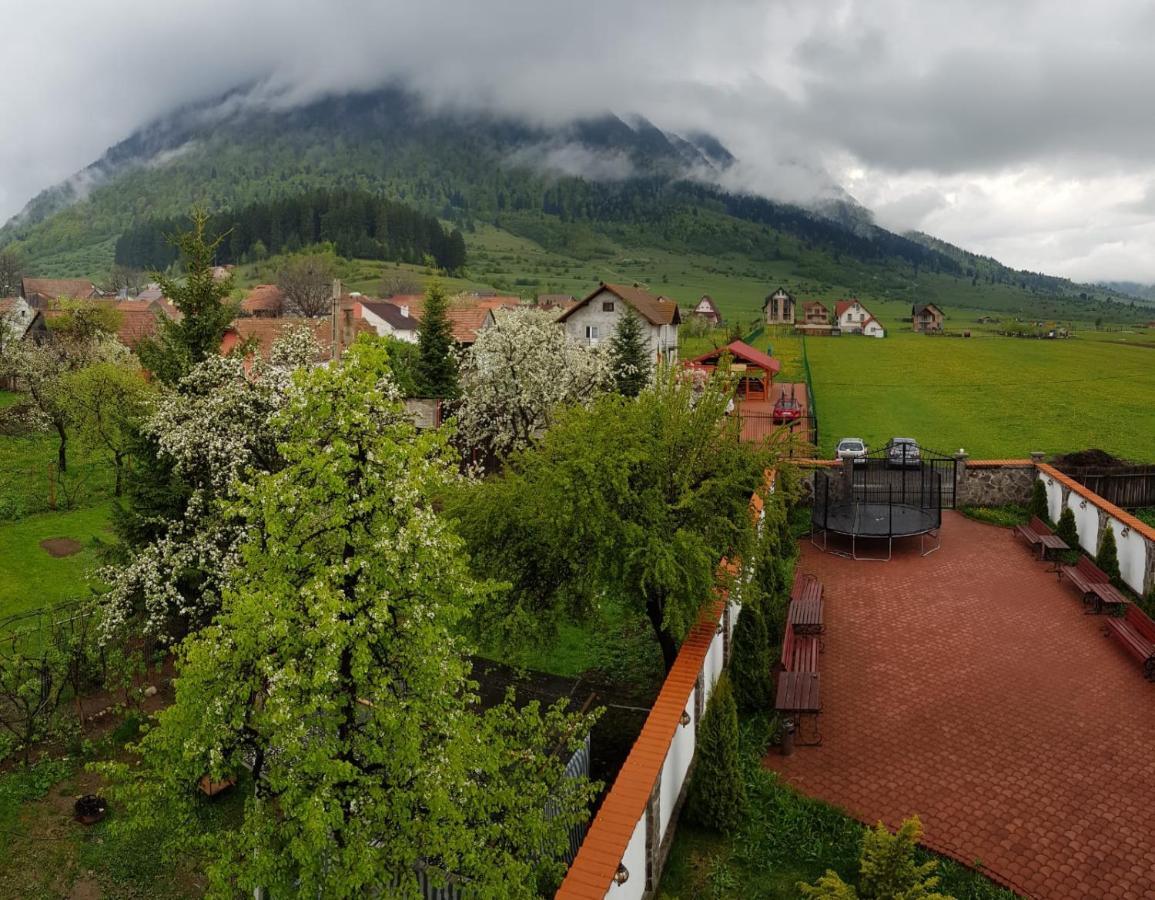 Pensiunea Casa Zarnesteana Зэрнешти Экстерьер фото